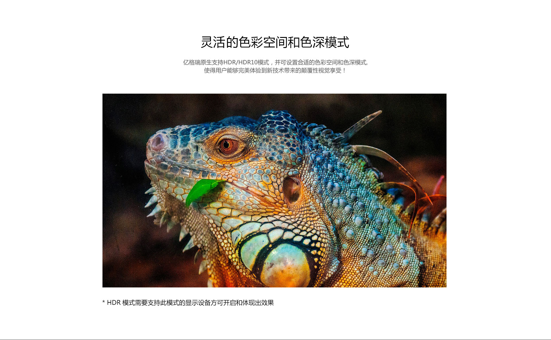 X9 家用播放机 X9 家用播放机